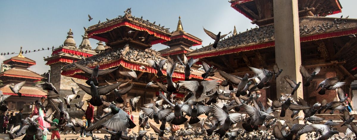 02/21 加德滿都王宮廣場、泰米爾街╱加德滿都國際機場 ~ 香港機場